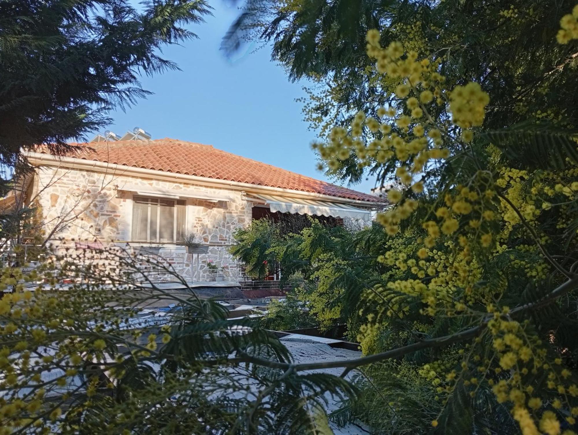 Arti Vila Ksamil Exterior photo